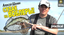 Как ловить судака на воблеры днем? Алексей Шанин