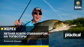 Жерех. Летняя ловля спиннингом на топвотеры.Алексей Шанин