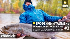 Трофейный таймень в Хабаровском крае. Ловим с Алексеем Шаниным. Часть 3.