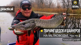 Твичинг шедов и шайнеров на мелководье. Алексей Шанин. Часть 2
