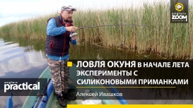 Ловля окуня в начале лета. Эксперименты с силиконовыми приманками. А. Ивашков