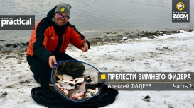 Прелести зимнего фидера. Алексей Фадеев. Часть 2