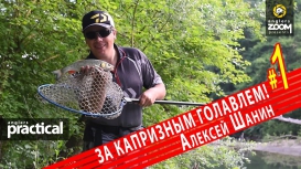 Капризный голавль на попперы в летнюю жару. Алексей Шанин 1 Часть