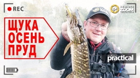 За капризной ЩУКОЙ на осенний пруд! А.Рыжов