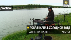 Ловля карпа в холодной воде. Алексей Фадеев. 1 часть