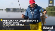 Алексей Шанин. Рыбалка на Средней Волге. Часть 2. Крупный окунь на воблеры-минноу