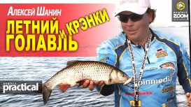 Летний голавль на крэнки. Алексей Шанин