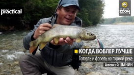 Когда воблер лучше. Голавль и форель на горной реке. Алексей Шанин
