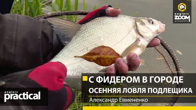ловля рыбы с фидером ловля рыбы с фидером