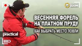 Весенняя форель на платном пруду. Как выбрать место ловли? А. Рыжов
