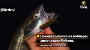 Ночная рыбалка на воблеры: злые судаки Кубани. Анатолий Холодов